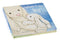 Jellycat: When I Am Big Book (Board Book)