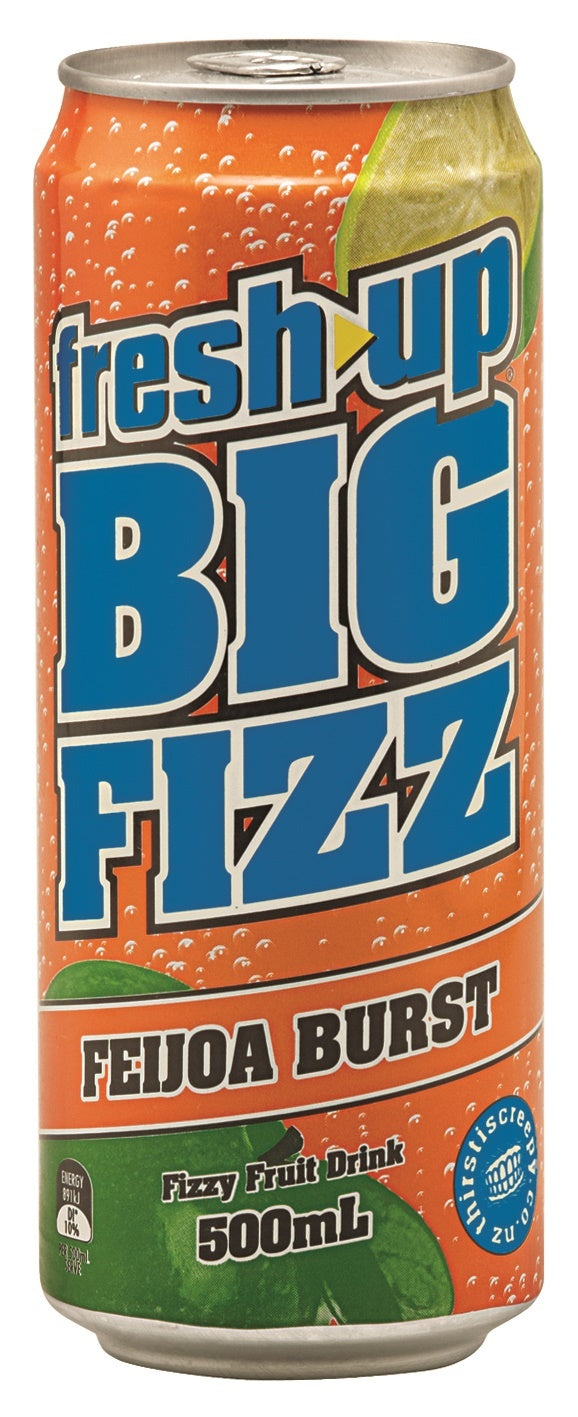 Fresh Up Big Fizz Feijoa Burst 500ml (12 Pack)