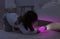 Zazu: Gina Torch & Night Light - Grey