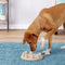 Outward Hound: Dog Smart Composite