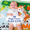 Chicco: Magic Forest Relax & Play Gym