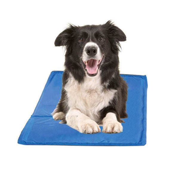 Ape Basics: Pet Dog Cool Pad Gel Ice Pad (Large)