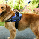 Adjustable Dog Harness - Blue (Small)
