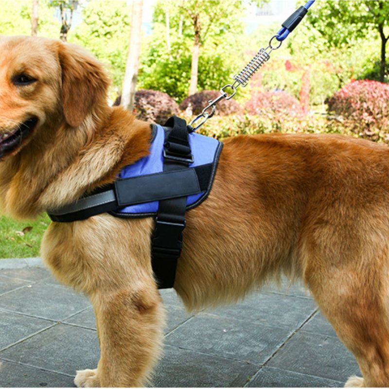 Adjustable Dog Harness - Blue (Medium)