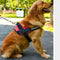 Adjustable Dog Harness - Red (Large)
