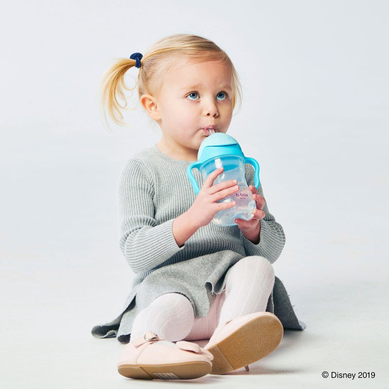 b.box: Disney Sippy Cup Replacement Straw - Elsa