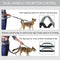Hands-Free Runner Dog Leash & Bag - Medium/Large Dogs (Light Grey)