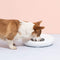 Smart Automatic Pet Feeder 6-Grid 180ml (White)