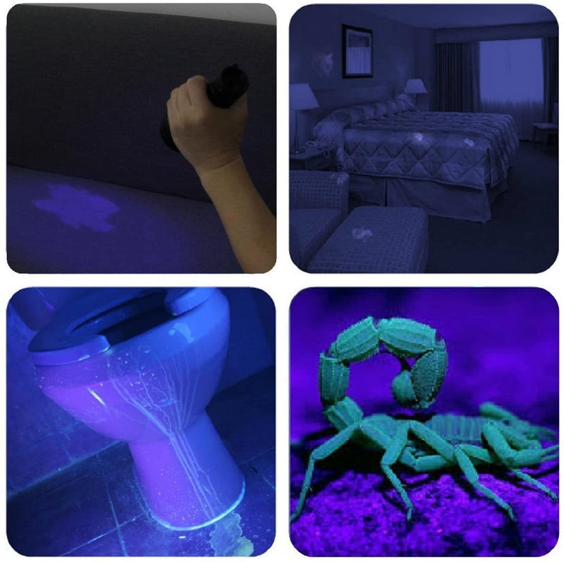 Ultraviolet Mini Black-Light - 51 LED