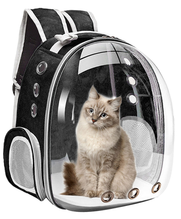 Cat Transparent Bubble Backpack Carrier - Black
