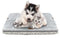 2-in-1 All Seasons Soft Waterproof-Lined Pet Beds - Gray