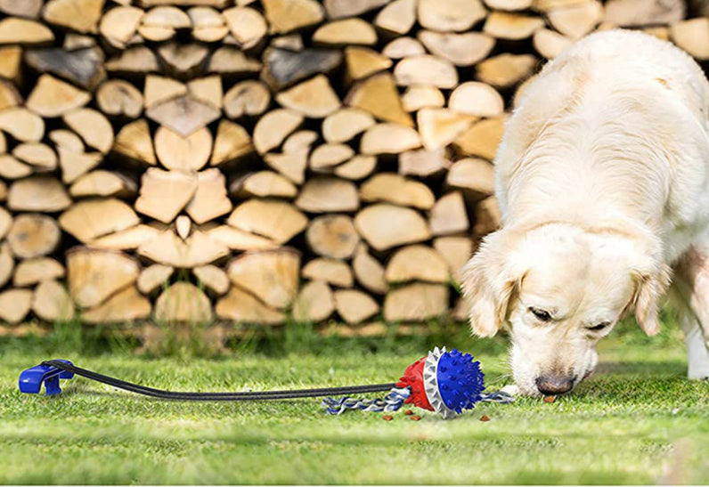 Outdoor Dog Rope Ball Interactive Chew Toy - Blue