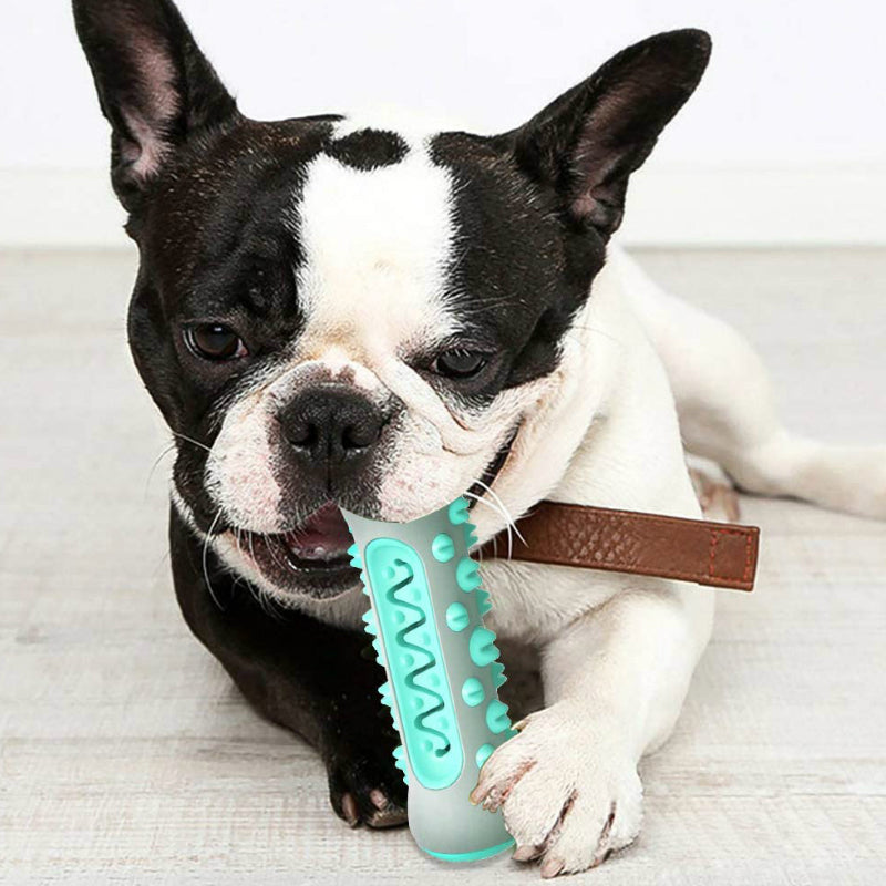Dog Chew & Teeth Cleaning Toy - Blue