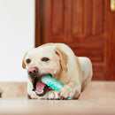 Dog Chew & Teeth Cleaning Toy - Blue