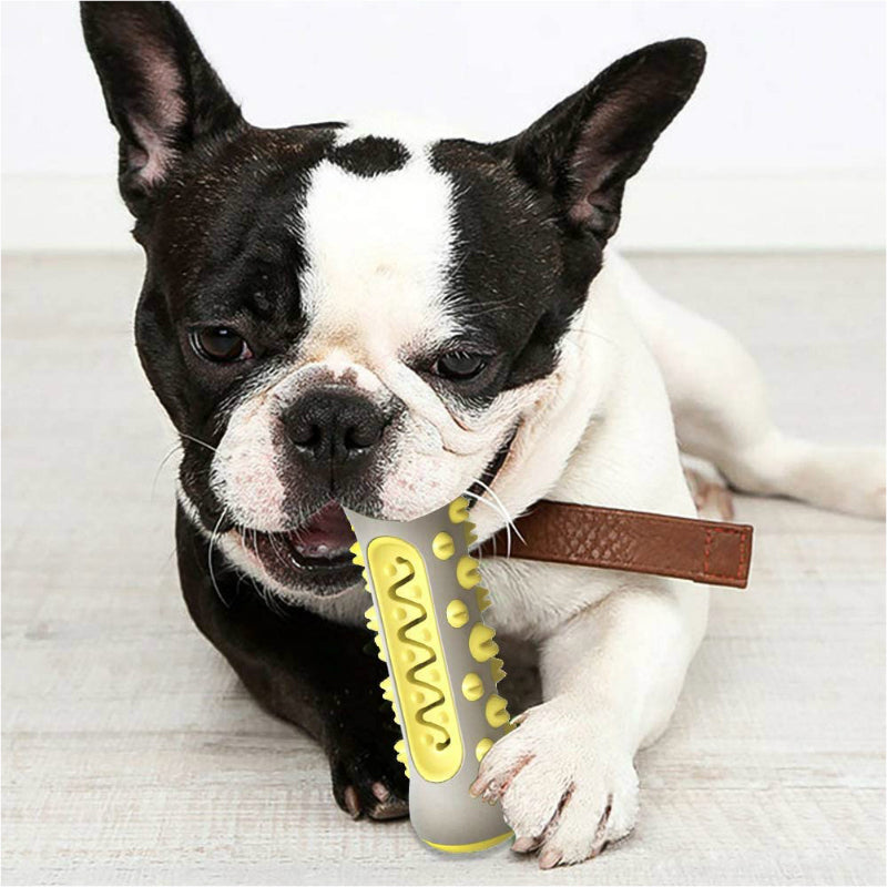 Dog Chew & Teeth Cleaning Toy - Yellow