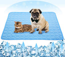 Breathable Indoor Pet Cooling Mat - (Blue)