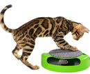 Catch the Mouse - Cat Toy & Scratching Pad (Green)