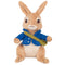 Peter Rabbit: Character Plush - Peter Rabbit (15cm)