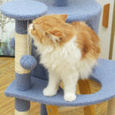 Multi-Level Cat Tree & Climbing Tower
