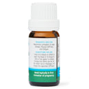 Dolphin Clinic: Essential Oils - Eucalyptus (10ml)