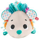 Fisher-Price: Cuddle n' Snuggle Hedgehog