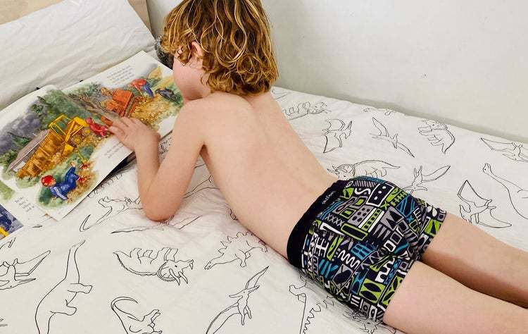 Snazzi Pants: Night Training Pants - Large (Boy Pop Art)