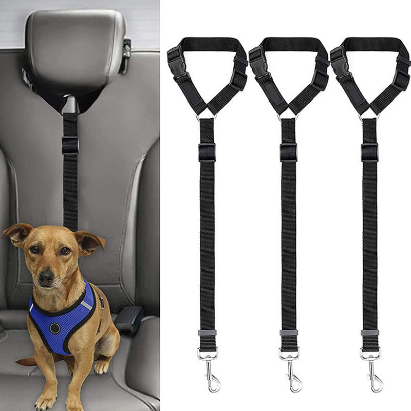 Adjustable Safety Car Leash for Pets - 3 Pack