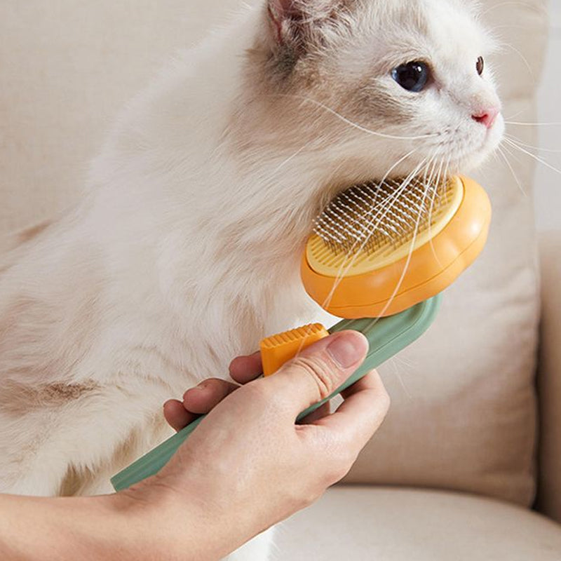 Pumpkin Pet Brush - Orange