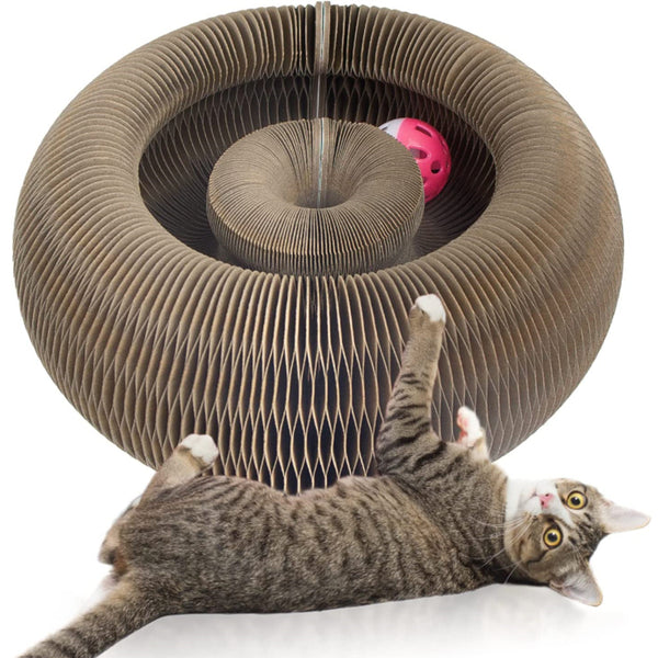 Magic Interactive Organ Cat Scratching Board With Toy Bell Ball