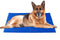 Pawever Dog Bed - Heavy Duty Waterproof (Large)