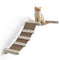 Feandrea Clickat Wall Mounted Cat Climbing Hammock