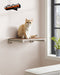 Feandrea Clickat Wall Mounted Cat Shelf