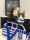 Star Wars: R2-D2 Pet Carrier