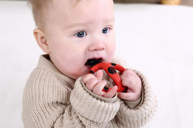 Mombella: Baby Teething Toothbrush - Ladybug