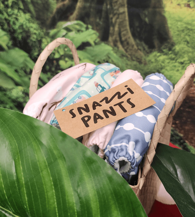 Snazzi Pants: All in One Reusable Nappy - Rose