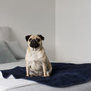 Brolly Sheets: Pet Bed Pad - Navy