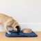 Brolly Sheets: Pet Chair Pad / Place Mat - Navy (Small)
