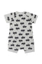 Bonds: YDG Short Zippy - Stampy Trucks Grey Marle (Size 000) (0-3 Months)