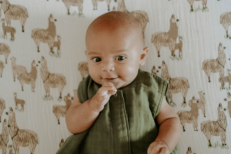 Little Unicorn: Cotton Muslin Sleeping Bag - Fern (Medium, 6-12 months)