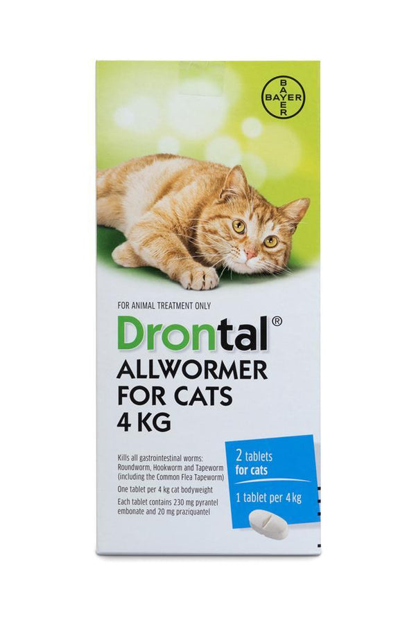 Drontal: Cat Ellipsoid 4kg - 2 Tablets