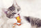 GiGwi: Dental Mesh, Catnip Cat Toy - Shrimp