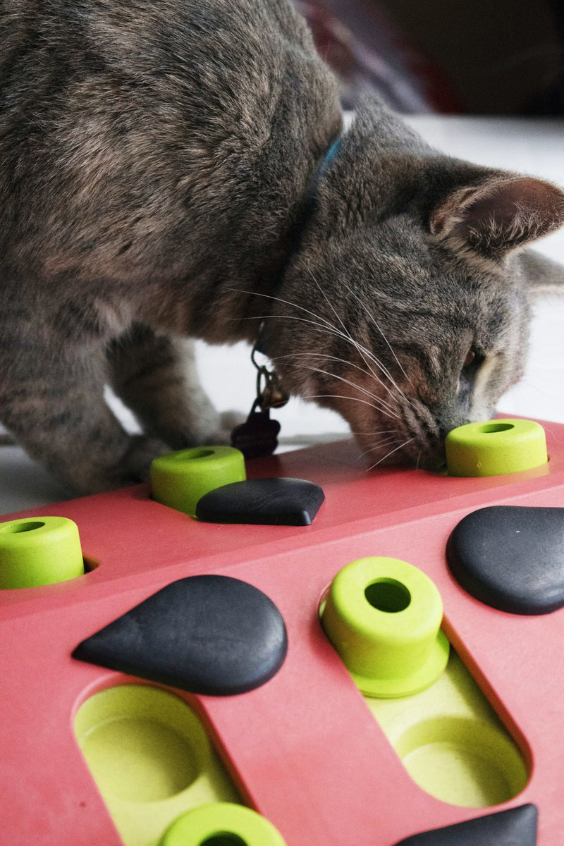 Petstages: Nina Ottosson - Melon Madness Puzzle & Play - Cat Game