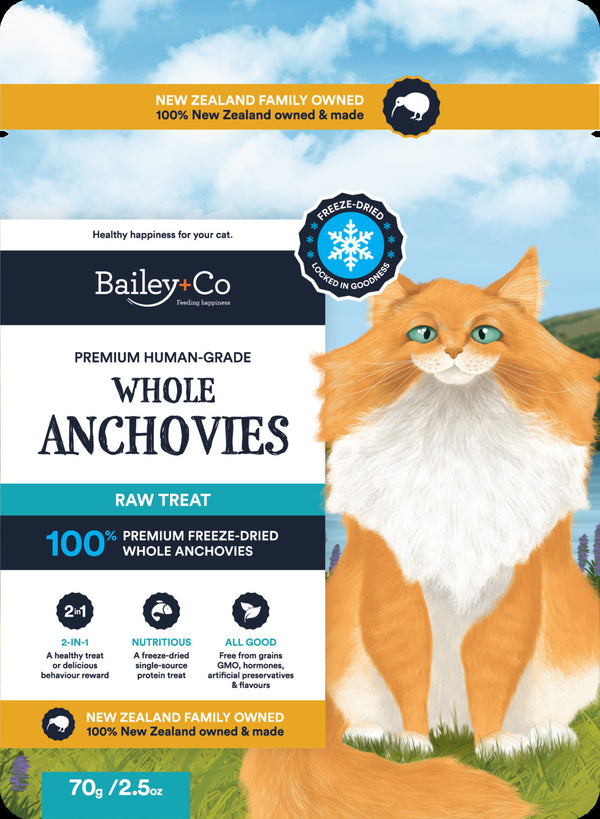 Bailey+Co: Freeze Dried Premium Human Grade Anchovy - Raw Treat (70g)