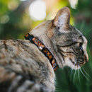 Gremlins: Gizmo Face - Breakaway Cat Collar With Bell