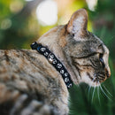 The Nightmare Before Christmas: Smiling Jack - Breakaway Cat Collar With Bell