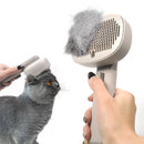 PETSWOL Electric Cat Hair Brush - Grey