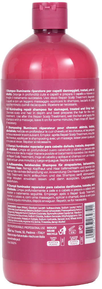 Inebrya: Shecare Illuminating Repair Shampoo (1000ml)