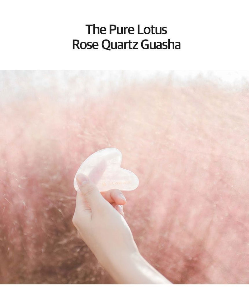 The Pure Lotus: Rose Quartz Gua Sha
