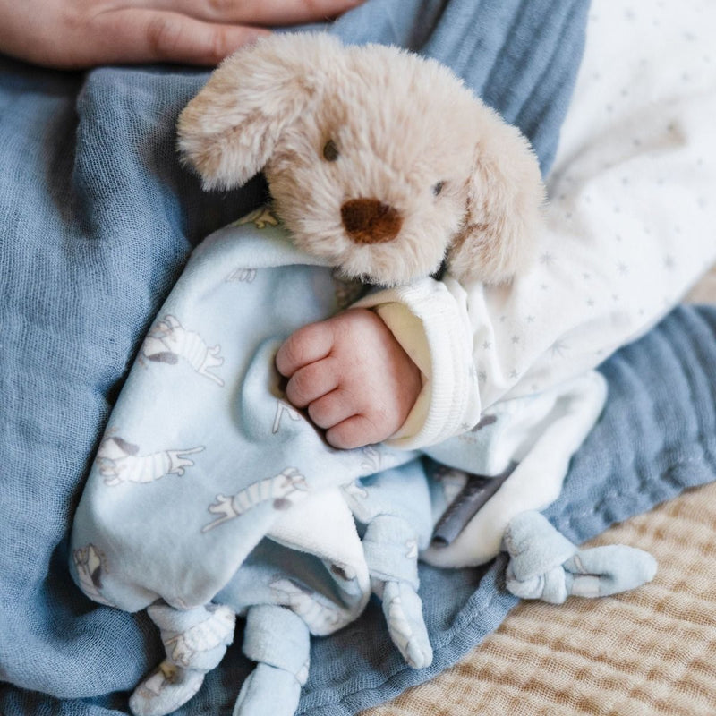 Little Linen: Comforter - Barklife Dog