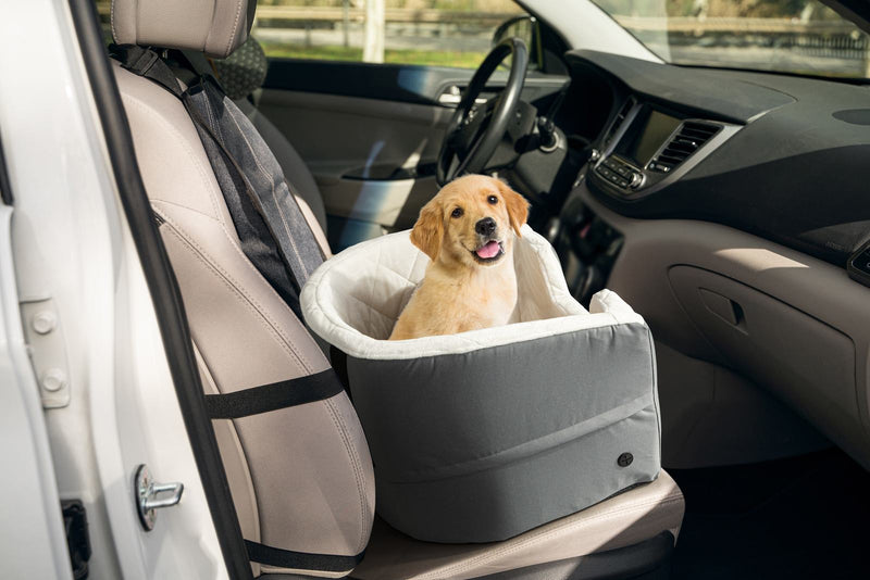 Pawever Pets Padded Dog Car Booster Seat